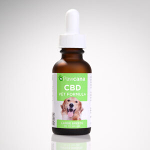 CBD For Dogs (Large Breed) Tincture